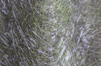 Wheddon Cross fibreglass roof work